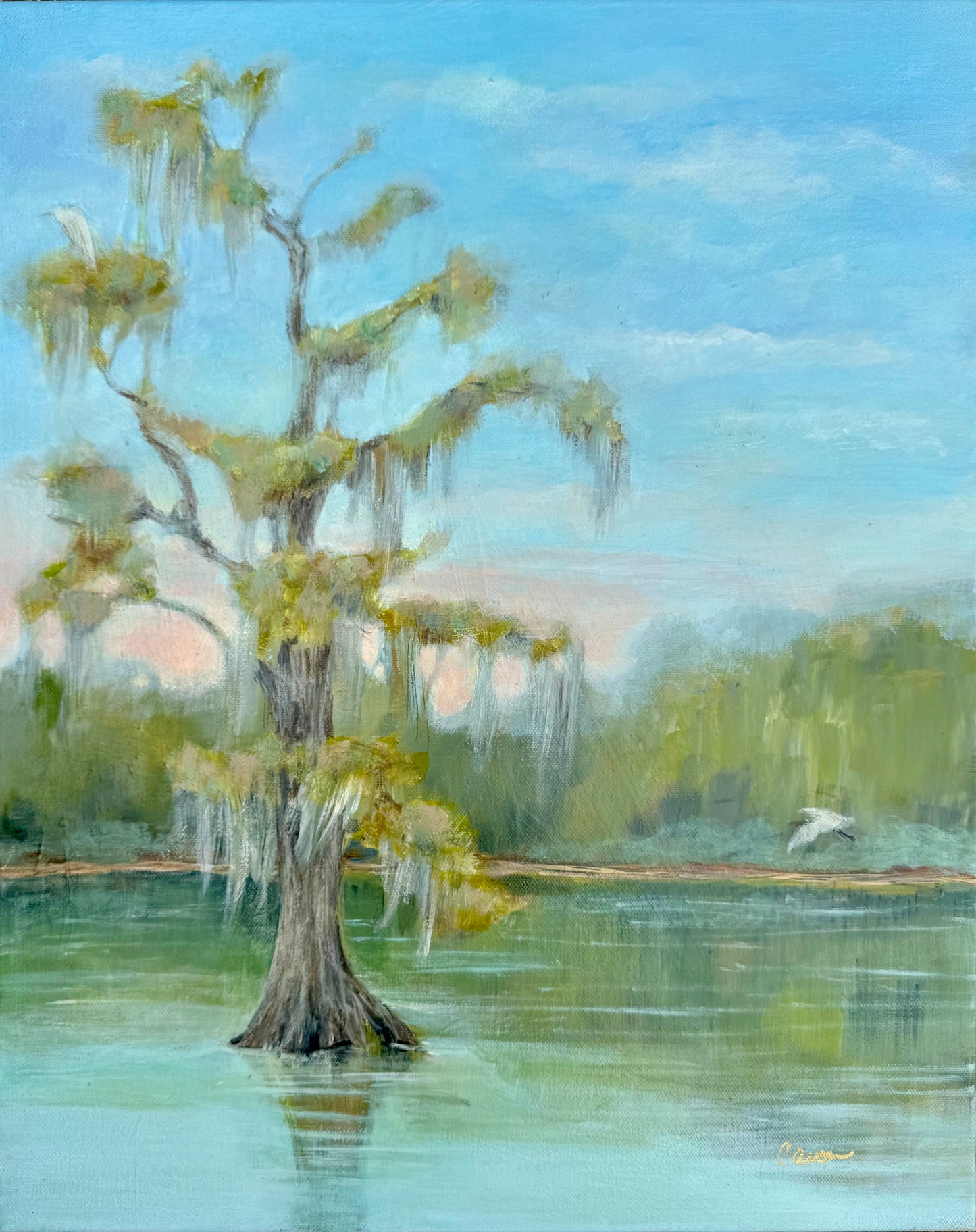 Bald Cypress original lake painting 16 x 20"