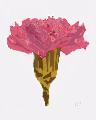 "Carnation" flower print