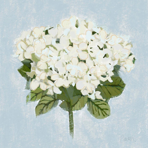 "Summer Snow" hydrangea floral print