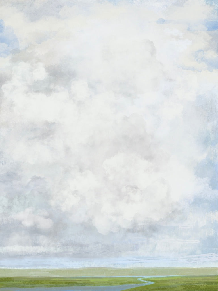 Sky Song coastal marsh sky print