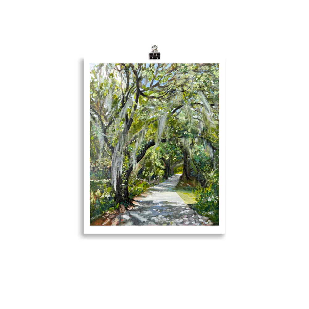 Best seller! West Orange Bike Trail Oak Trees Print