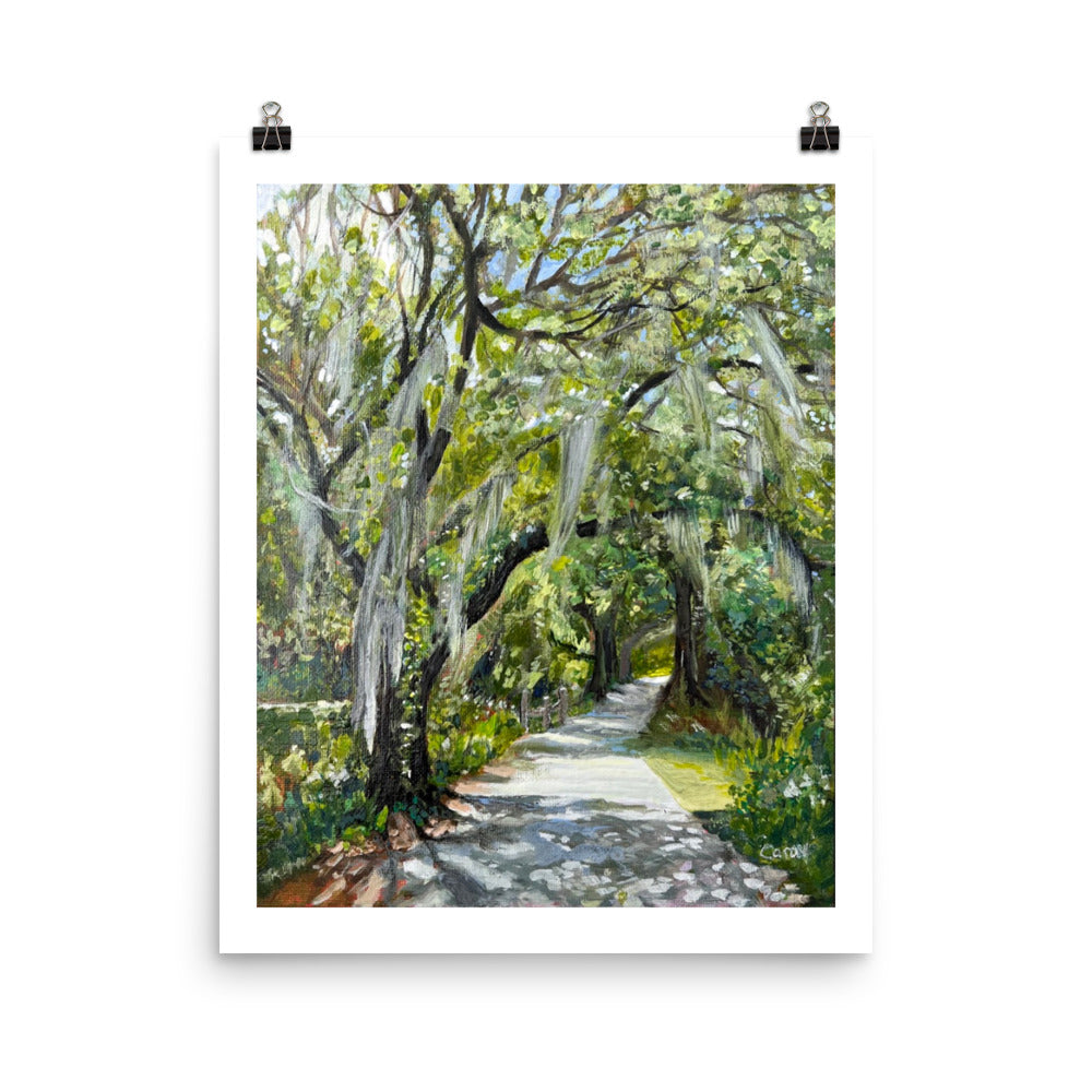 Best seller! West Orange Bike Trail Oak Trees Print