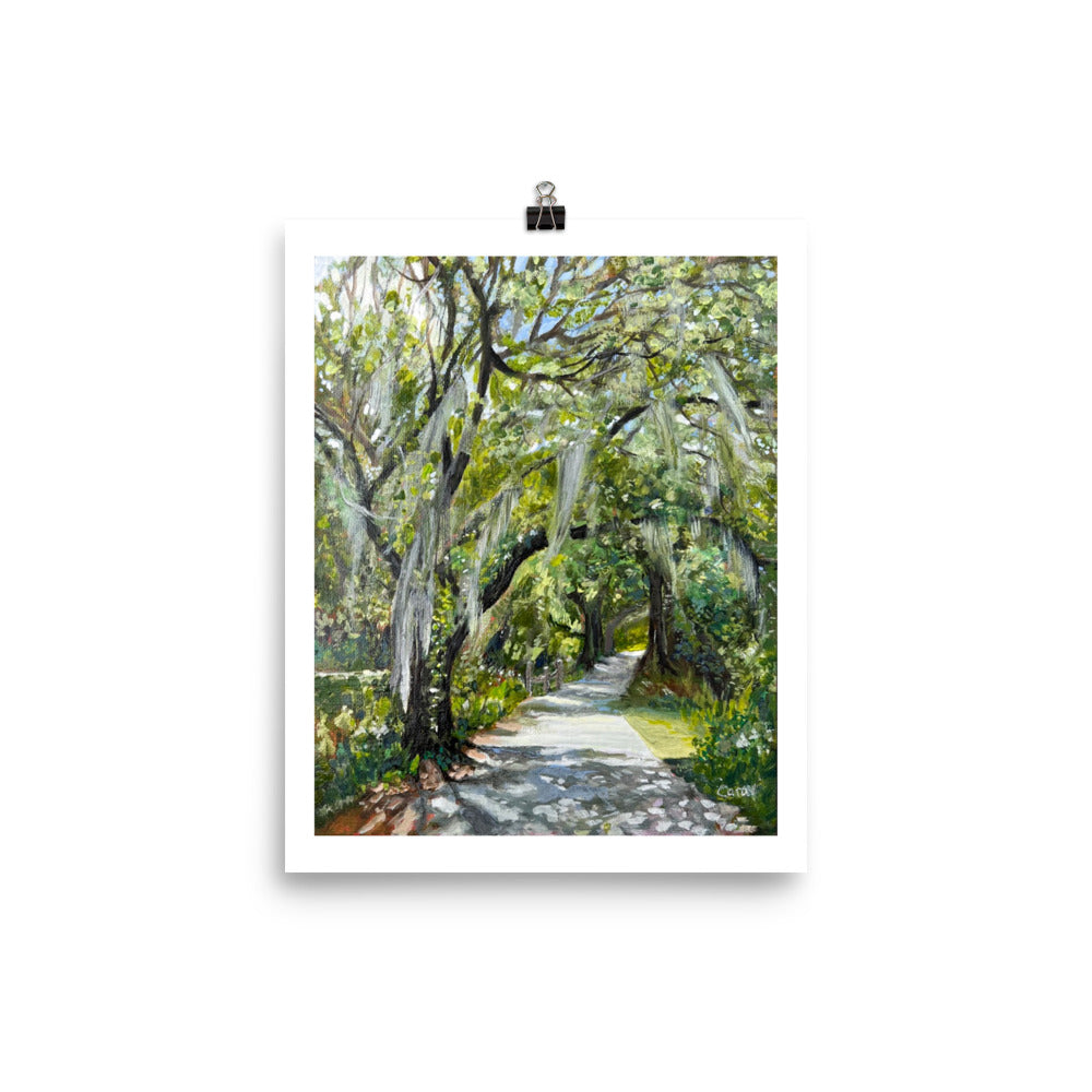 Best seller! West Orange Bike Trail Oak Trees Print